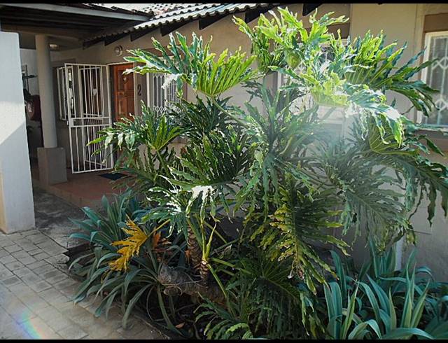 1 BEDROOM COMPLEX FOR SALE IN MORELETAPARK